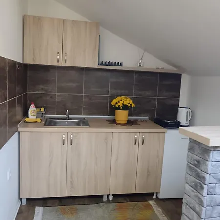 Zvezda Two Bedroom Center * Novi Sad