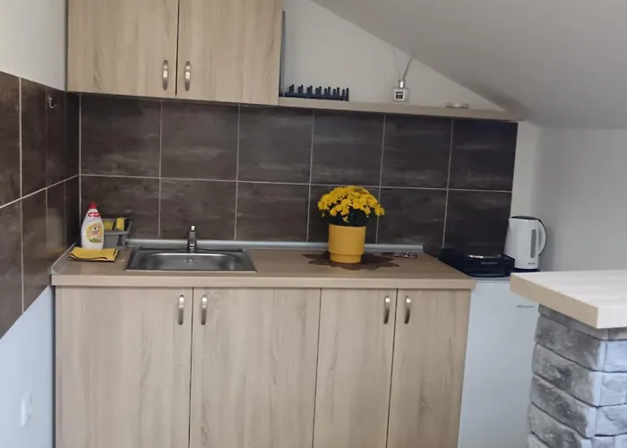 Zvezda Two Bedroom Center * نوفي ساد